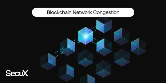 Blockchain Network Congestion - Causes, Effects, Mitigation