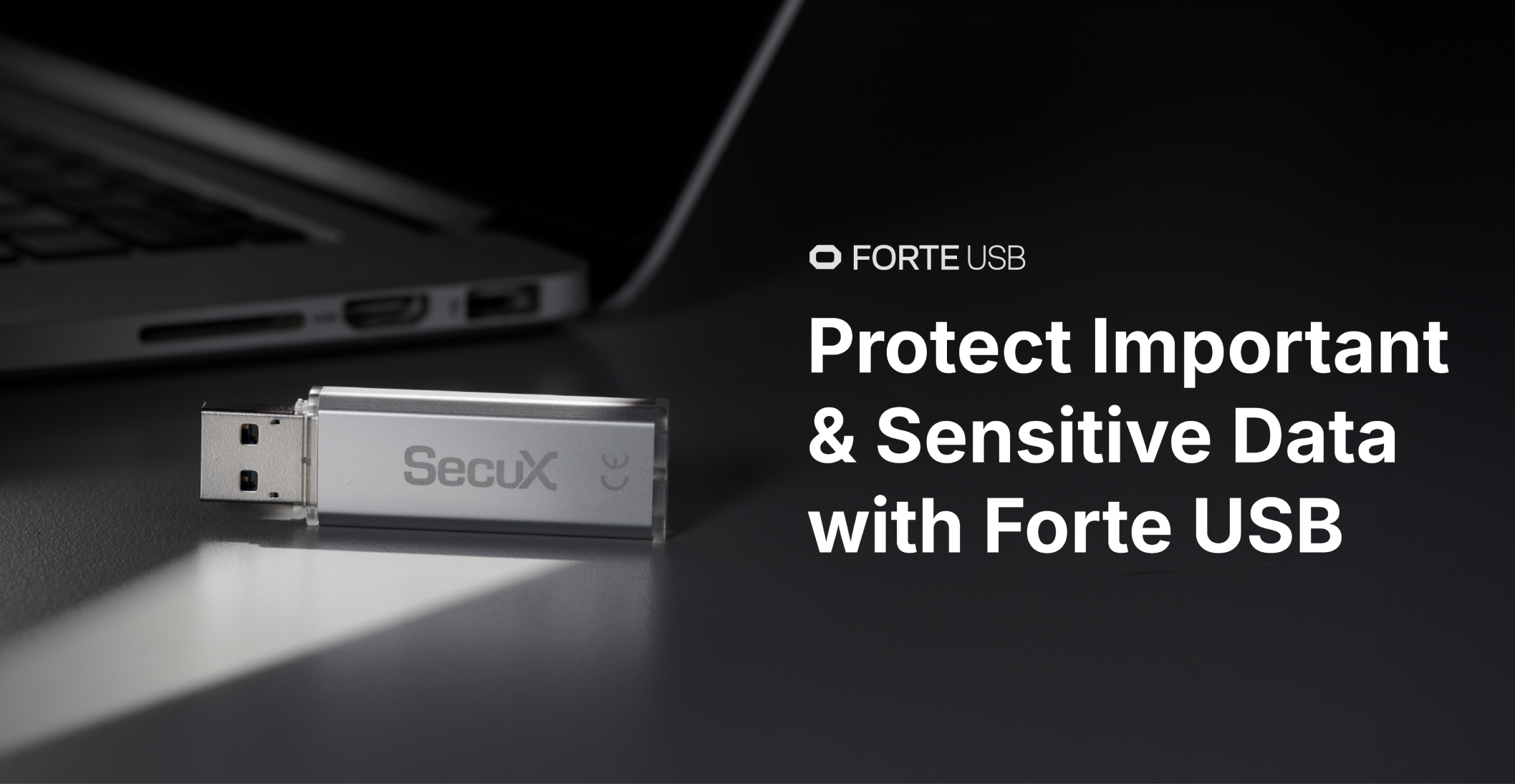 Protect Important and Sensitive Data with Forte USB | SecuX USB Flash Drive