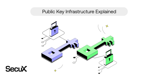 Public Key Infrastructure Explained