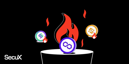 The Token Burning Process - What Does This Mean